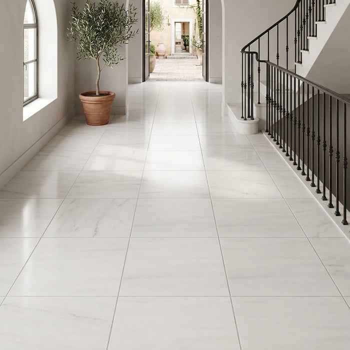 Bianco Dolomite Honed 12x12  Marble Tile