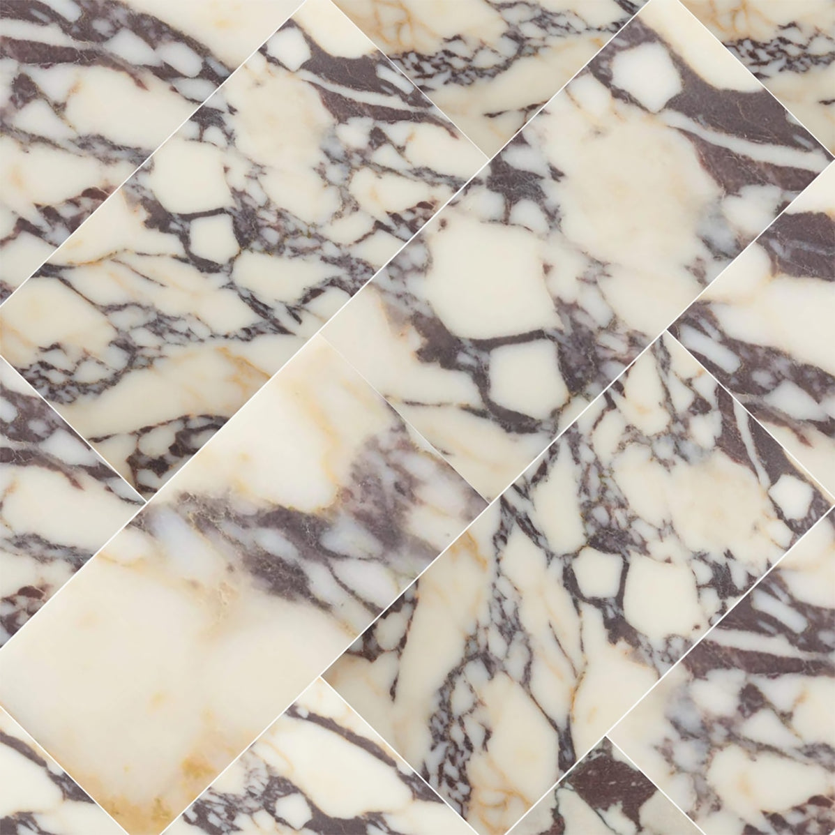 Calacatta Viola Honed 12x24 Marble Tile — Palazzo Tile & Stone