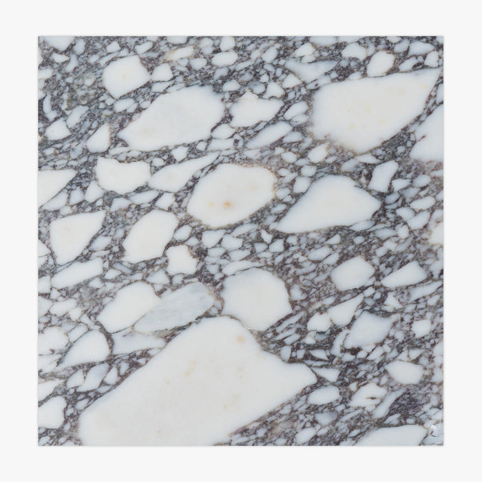 Calacatta Viola Monet Honed 12x12   Marble Tile