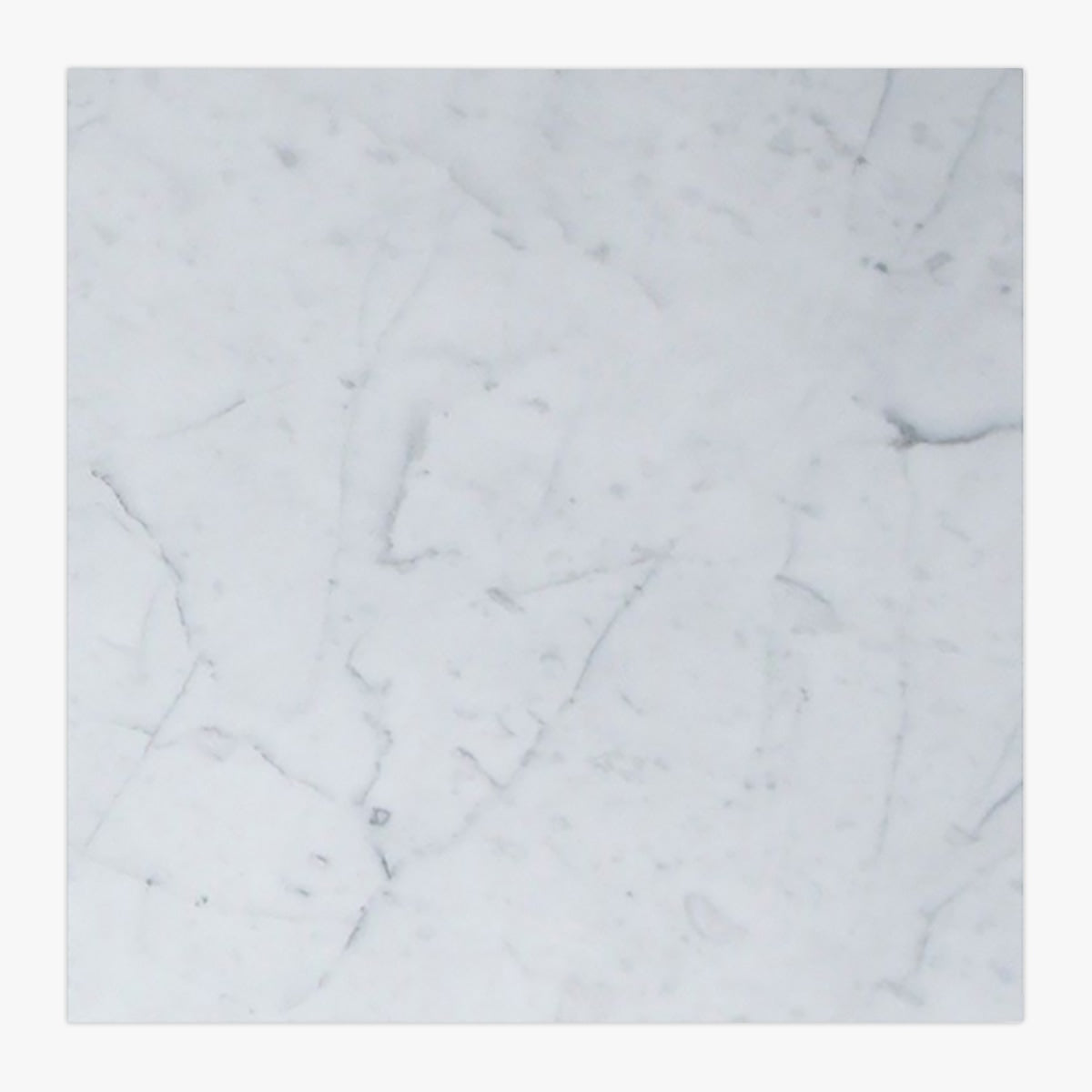 White Carrara Polished 12x12 Marble Tile — Palazzo Tile & Stone
