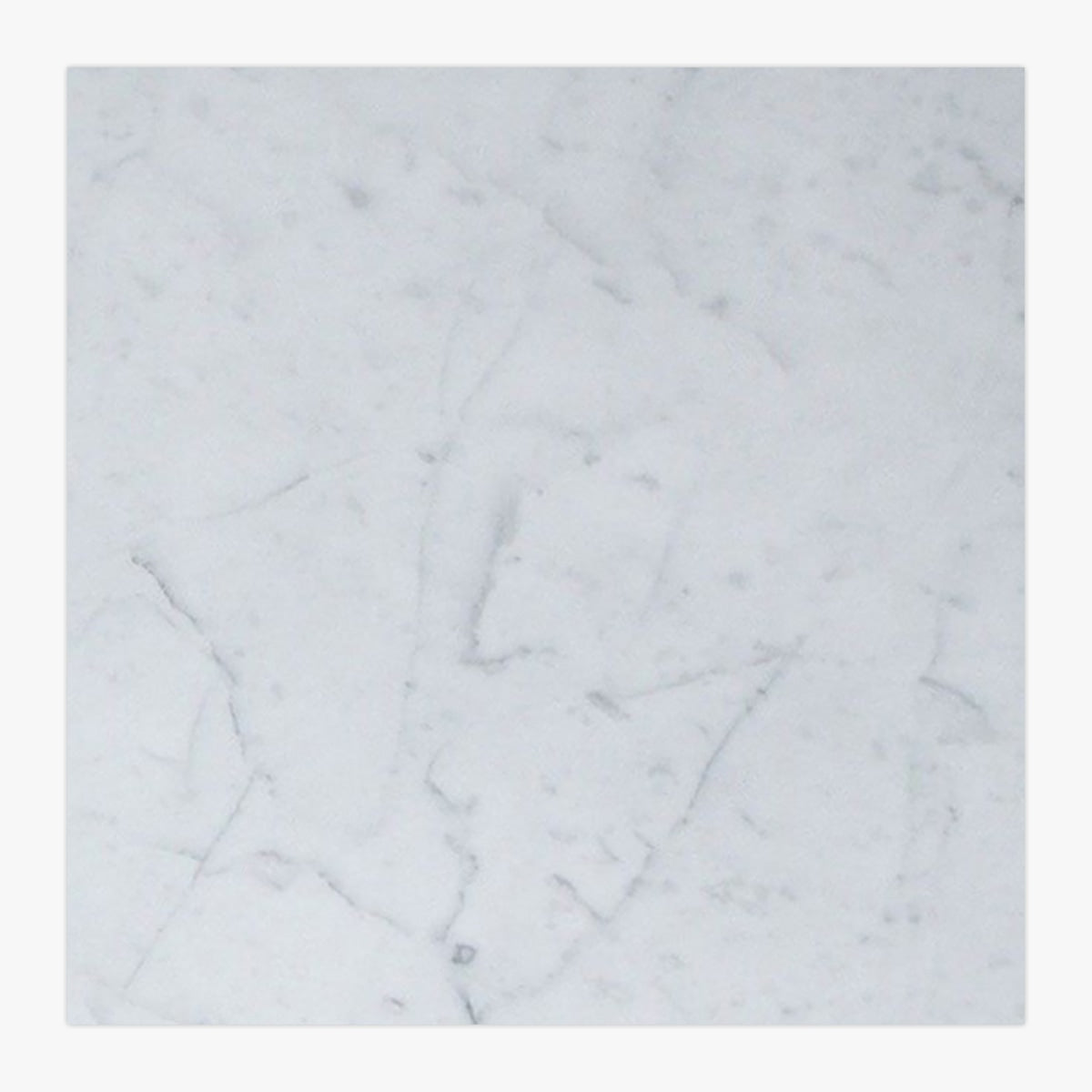 White Carrara Honed 24x24 Marble Tile — Palazzo Tile & Stone