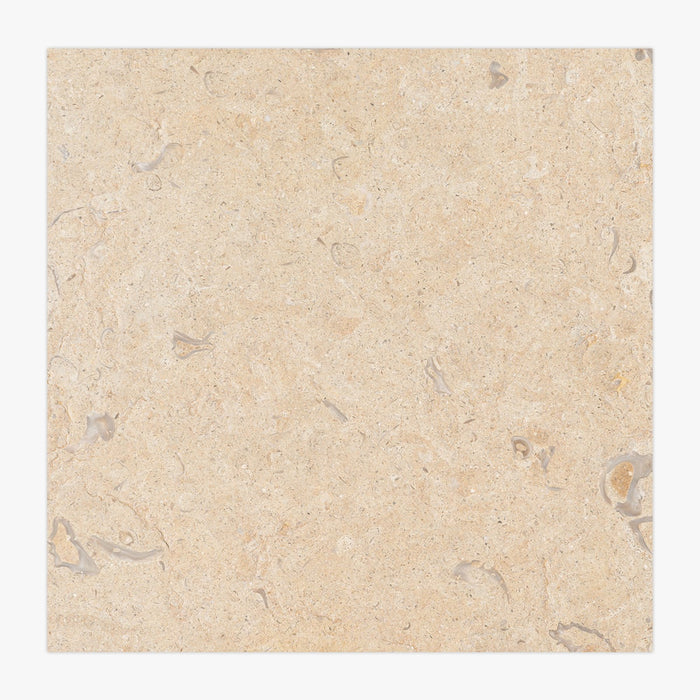 Halila Fossil Brushed 12x12 Limestone Tile