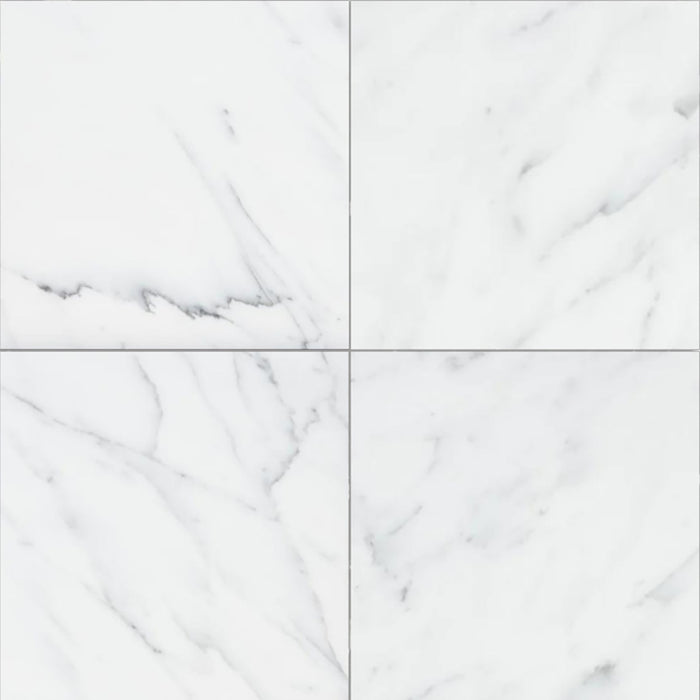 Statuary White Honed 12x12  Marble Tile