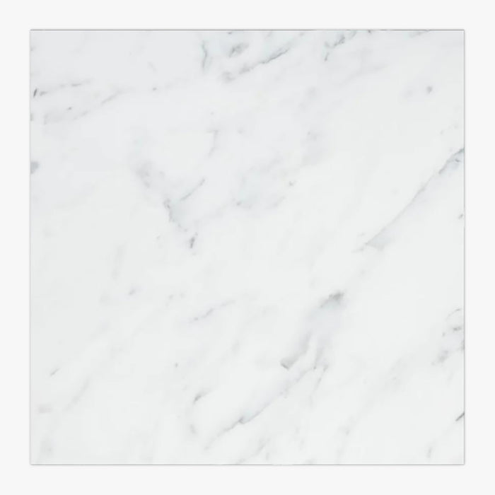 Statuary White Honed 12x12  Marble Tile