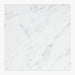 Statuary White Honed 12x12  Marble Tile